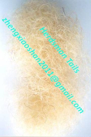 Curly horse hair / horse tails / mane hairs / tails / horse tail hairs / horse hairs
