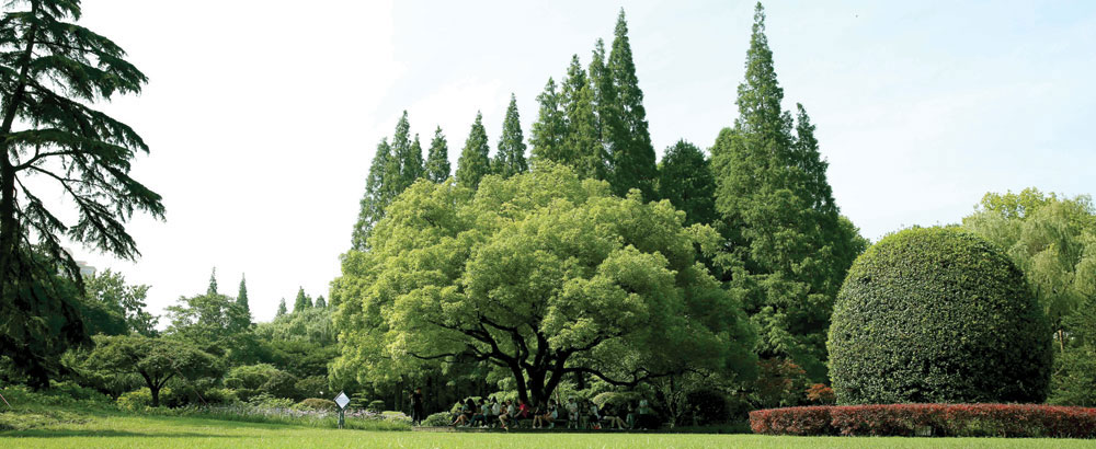 zhongshan park