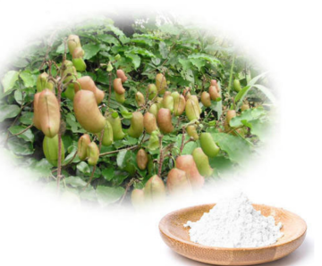 5-hydroxy-L-tryptophan seed extract/Herbal Extract