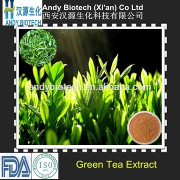 Herbal medicine green tea extract