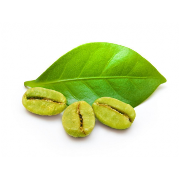 Extracto de grano de café verde Ácidos clorogénicos 50%