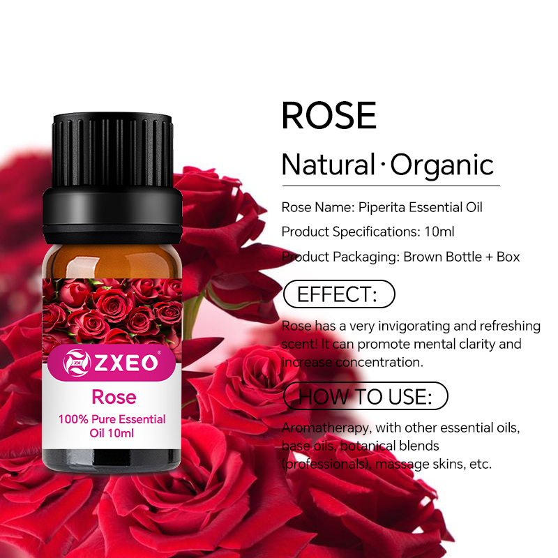 Aromaterapia rosa pura Óleo essencial por atacado 100% puro sérico de rosa rosa Óleo de pétala para cuidados com a pele Oil de massagem