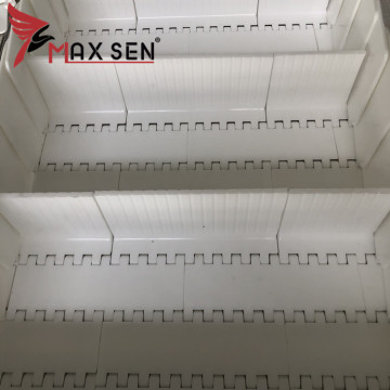 Customized Plastic Chain Conveyor Belt & Mesh Conveyor Belt