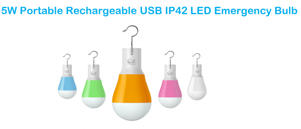 Ampoule d'urgence LED USB rechargeable portable