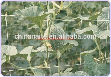 Vegetable Climbing Plant Support Mesh