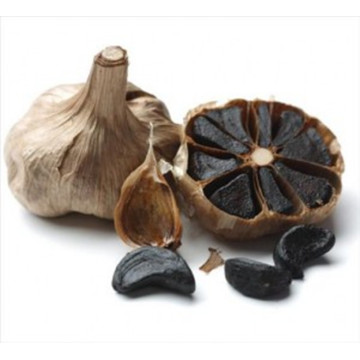 Black Garlic Benefit in the Daily Diet