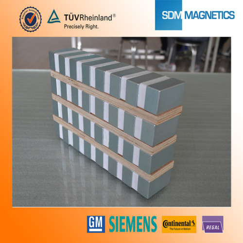 Neodymium magneet van de elektromotor met Ni Coating