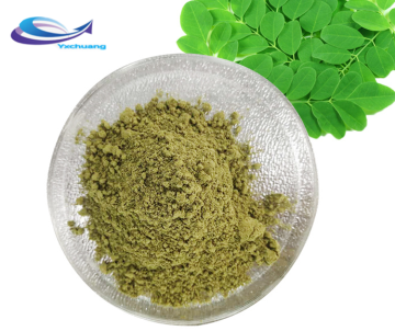 OEM Barley Grass Juice Powder Barley grass extract