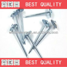 Sell 50kg gunny bag packed BWG9X2.5" umbrella nail