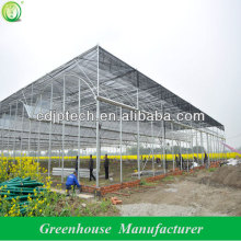 greenhouse for tomato growing