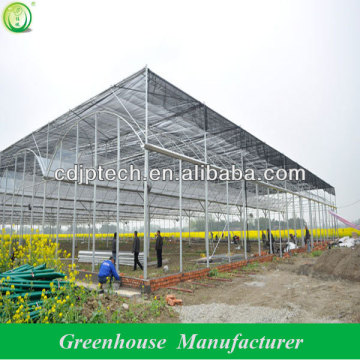 greenhouse for tomato growing