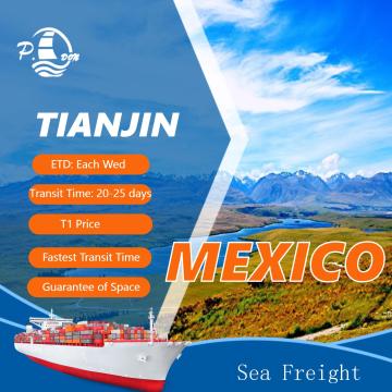 Ocean Freight from Tianjin to Mexico