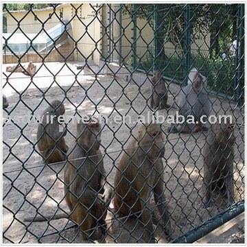 Chain Link Fence net