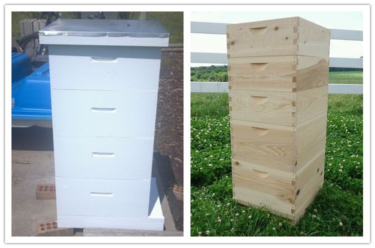 Fir wood Langstroth beehive for beekeeping or wooden beehive