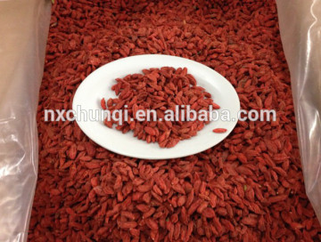 GOJI/DRIED FRUIT/CHINESE WOLFBERRIES