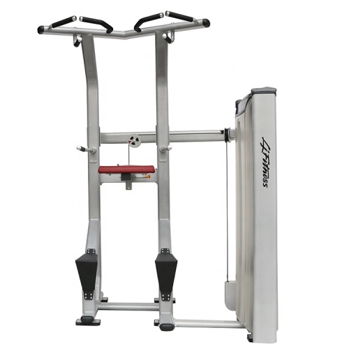 Dip/Chin Support Chin Pull Up Machine Bodybuilding Gym