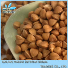 Good Price Buckwheat Raw, Unroasted,Roasted buckwheat kernel, hull buckwheat