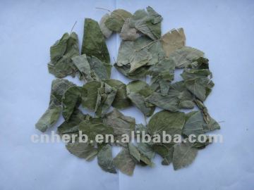 Shorthorned Epimedium Herb/Yin Yang Huo/Herba Epimedii