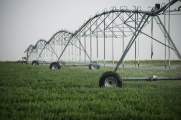 sprinklers and drip irrigation