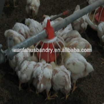 Automatic Poultry Farm Equipment