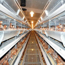 Automatic H Type Chicken Cage Control Shed Equipment