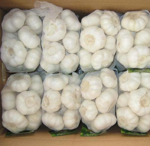 Alho branco puro fresco para exportação em saco de malha pequena embalagem de 4 kg Fresh Pure White Garlic For Export Garlic In Small Mesh Bag Packing 4kg