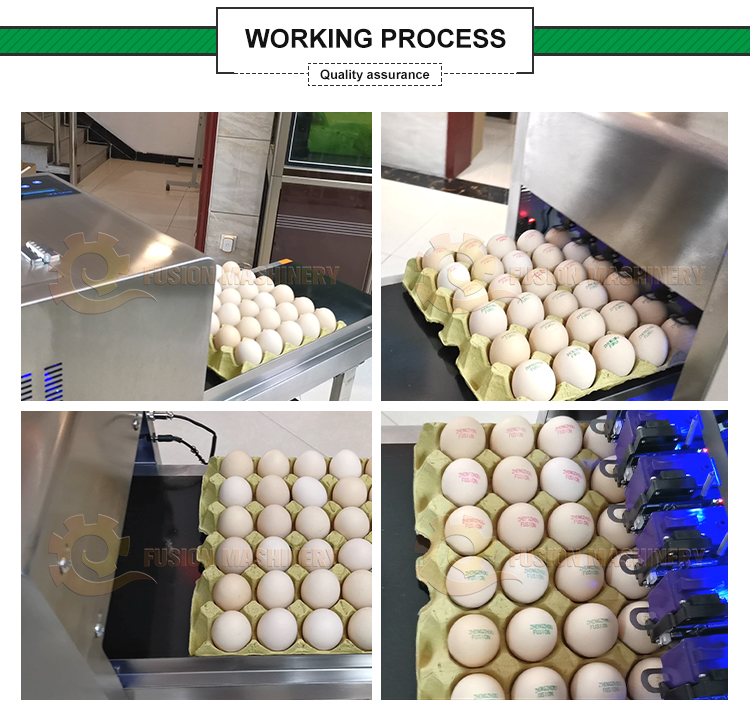 automatic 1-8 lines eggs inkjet code printers/egg date stamping machine