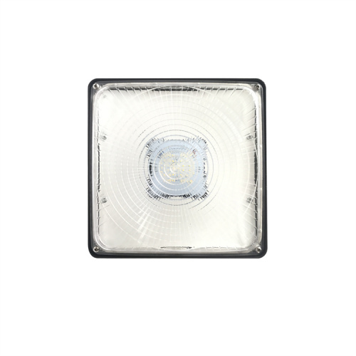 IP65 Waterproof LED Canopy Light for Enhanced Security