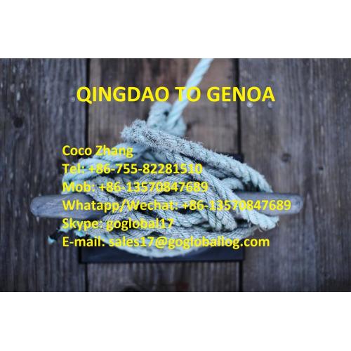 Shandong Qingdao Sea Freight to Italy Genoa