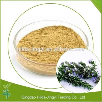 Hot selling rosemary leaf extract rosemary extract