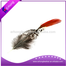 Wholesale Nutural Pheasant Feather with High Quality