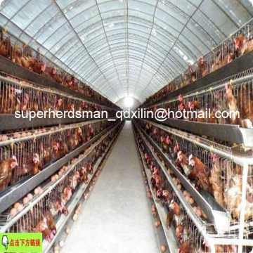 Automatic Chicken Cage Poultry Equipment for Layer