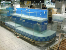 Live Fish Disply Tank