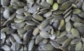 Grano de semilla de calabaza GWS