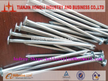 flat head common nails with Electro Galvzainzed finish