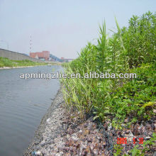 PVC coated &hot dipped galvanized gabion mesh/ wire mesh gabion /mesh box