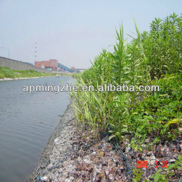 PVC coated &hot dipped galvanized gabion mesh/ wire mesh gabion /mesh box