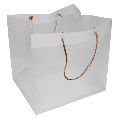 Shopping Bag (HF-628)