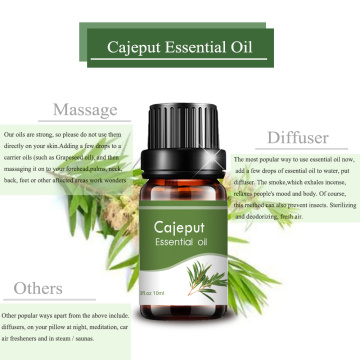 100% pure Cajeput Essential Oil At Best Price Analgesic