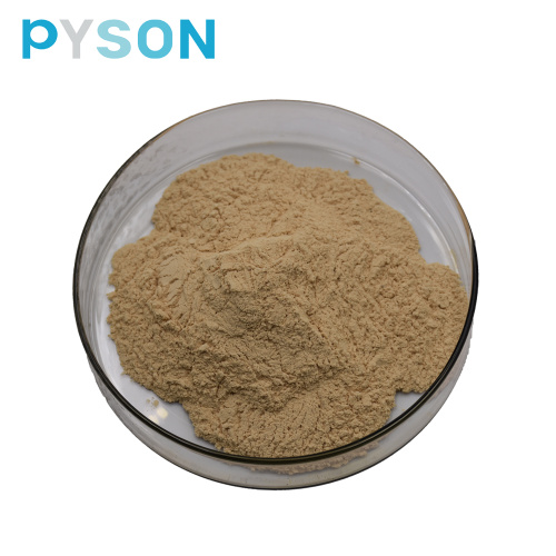 High quality Apigenin Powder