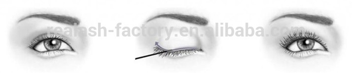 7 days grow 3mm eyelashes with REAL PLUS eyelash extension serum