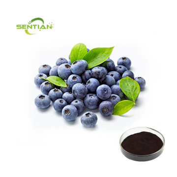 Wholesale Natural Bilberry Extract Powder