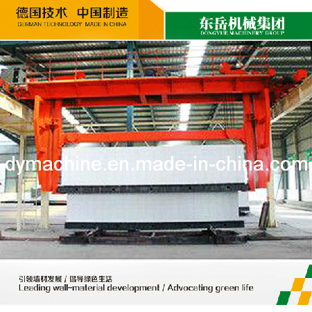 Aerated Concrete AAC Plant / Autoclave Aerated Concrete / Aerated Concrete Machinery Dongyue Machinery Group