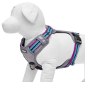 Multi-Colored Stripe Dog Harness