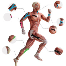 2023 New Kinesiology Tapes for Athletic Recovery and Muscle Support