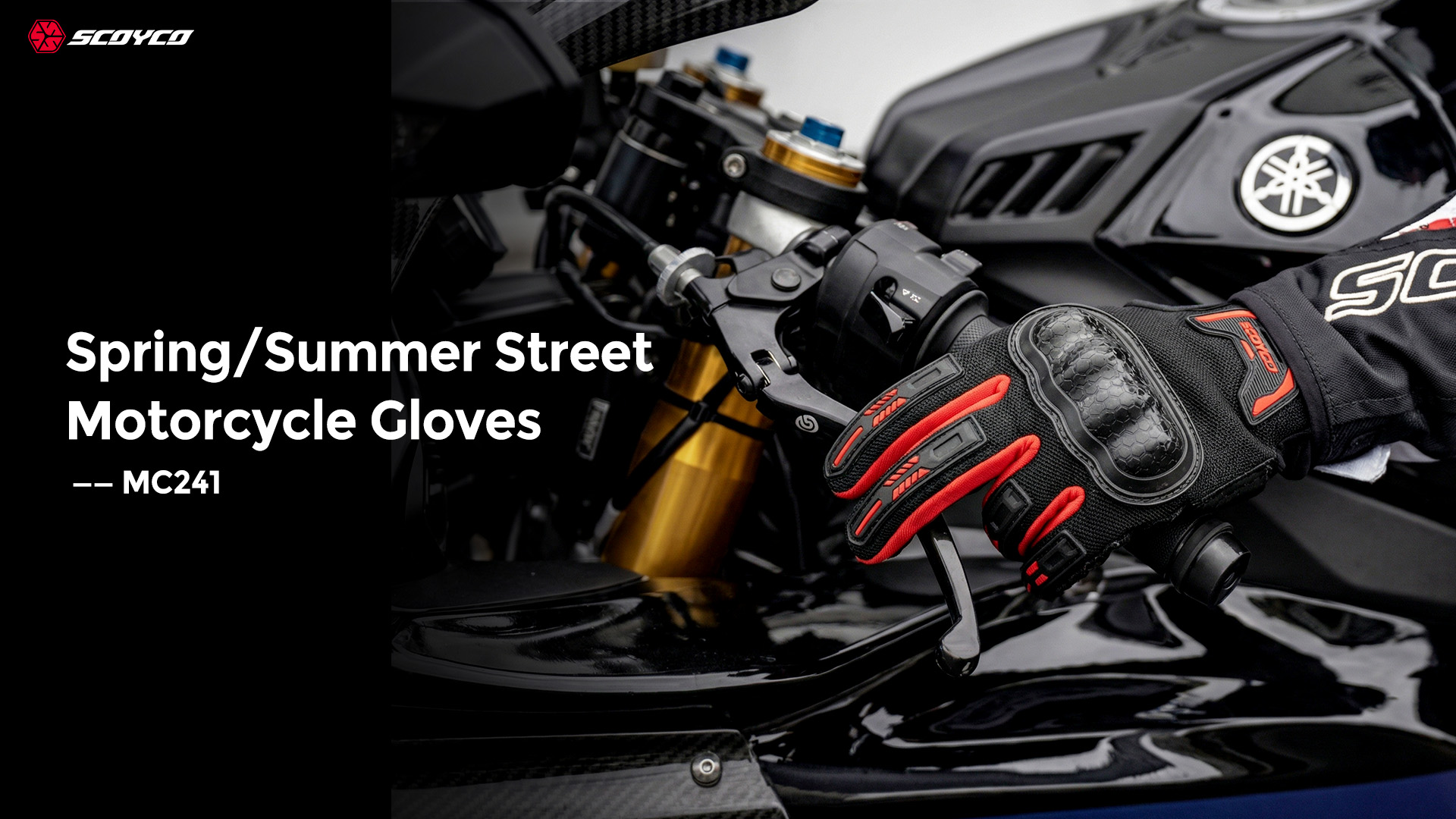 MC241_01_main MC241_01_main