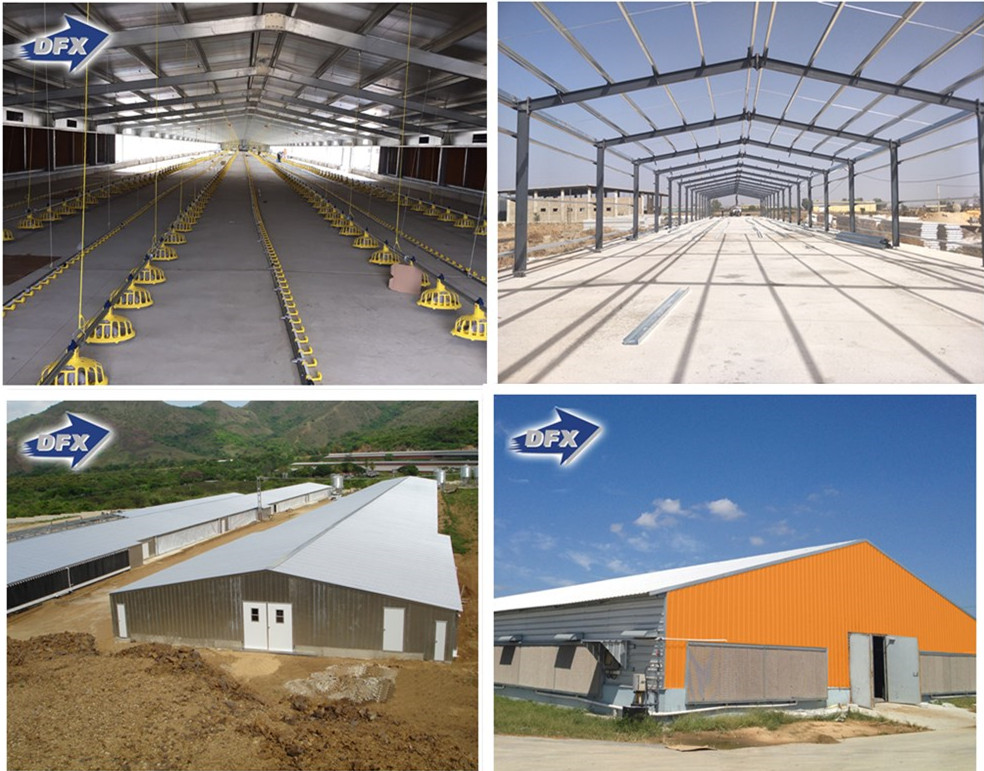 Steel Structure Automatic Chick Poultry Farm House With Fiberglass Sandwich Panel