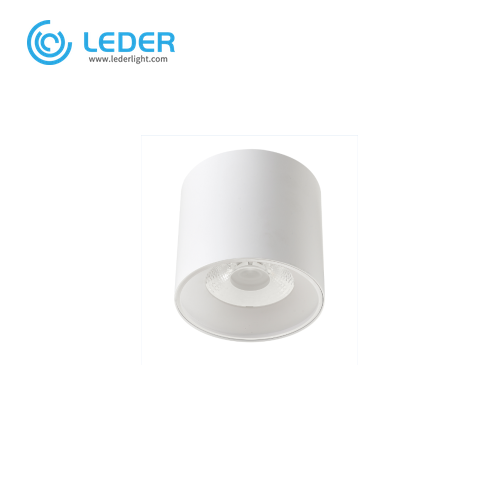 LEDER Surface Mounted Dimmable 30W LED Downlight
