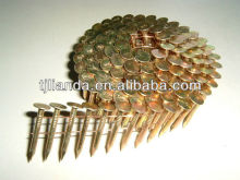coil roofing nail