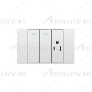 Combination Switch Socket Weatherproof